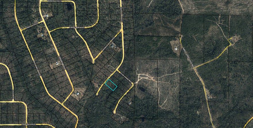 Large 1.175 acre lot in Compass Lake in the Hills. There is a voluntary HOA of $135 a year, but what a great price for all the amenities that are included such as: access to 2 lakes for fishing, tennis, horse stables / riding, rental cabins, RV spots, boat rentals, clubhouse, and a golf range. Being an all-sports lake, enjoy water skiing, tubing, jet skiing, boating, sailing, kayaking & swimming. No need to worry about lunch while out on the water when you have a boat accessible shoreline restaurant. This location is great for someone who enjoys nature and a short drive to the beach since it is located half way between Panama City And Dothan. The area is rich in historical significance, with many restored antebellum plantation homes open for tours or as bed-and-breakfast