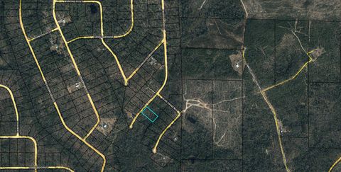 Photo of Lot 13 Hibiscus Street, Marianna, FL 32448 (MLS # 988306)