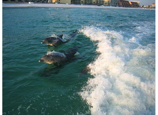 SANTA ROSA ISLAND - Residential