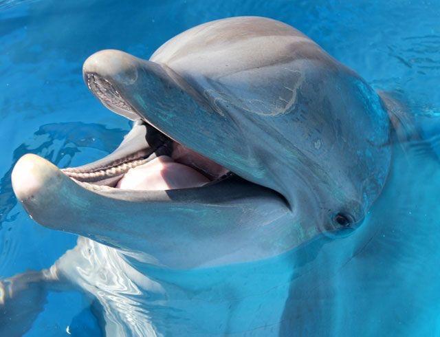 SANTA ROSA ISLAND - Residential