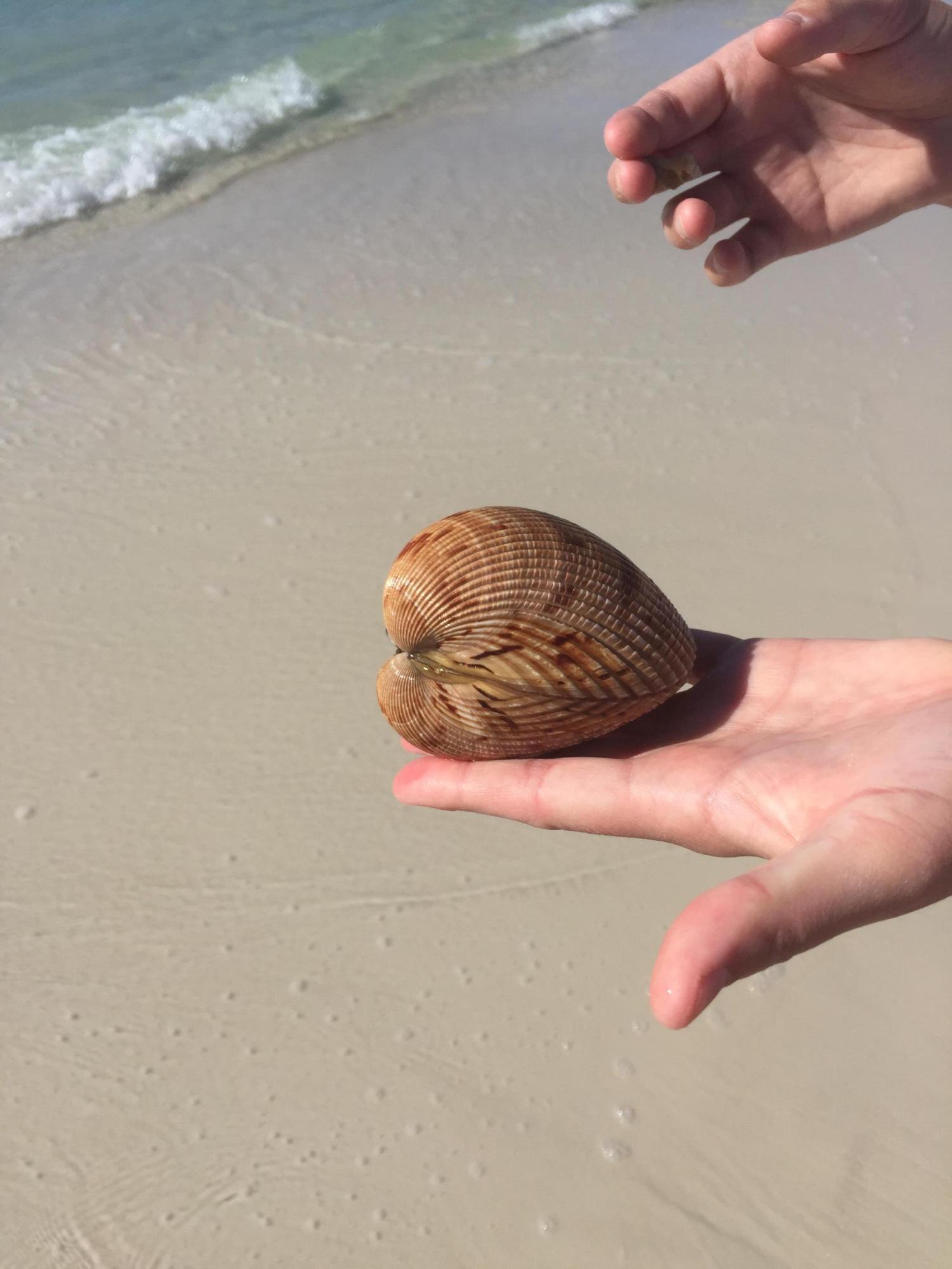 SANTA ROSA ISLAND - Residential