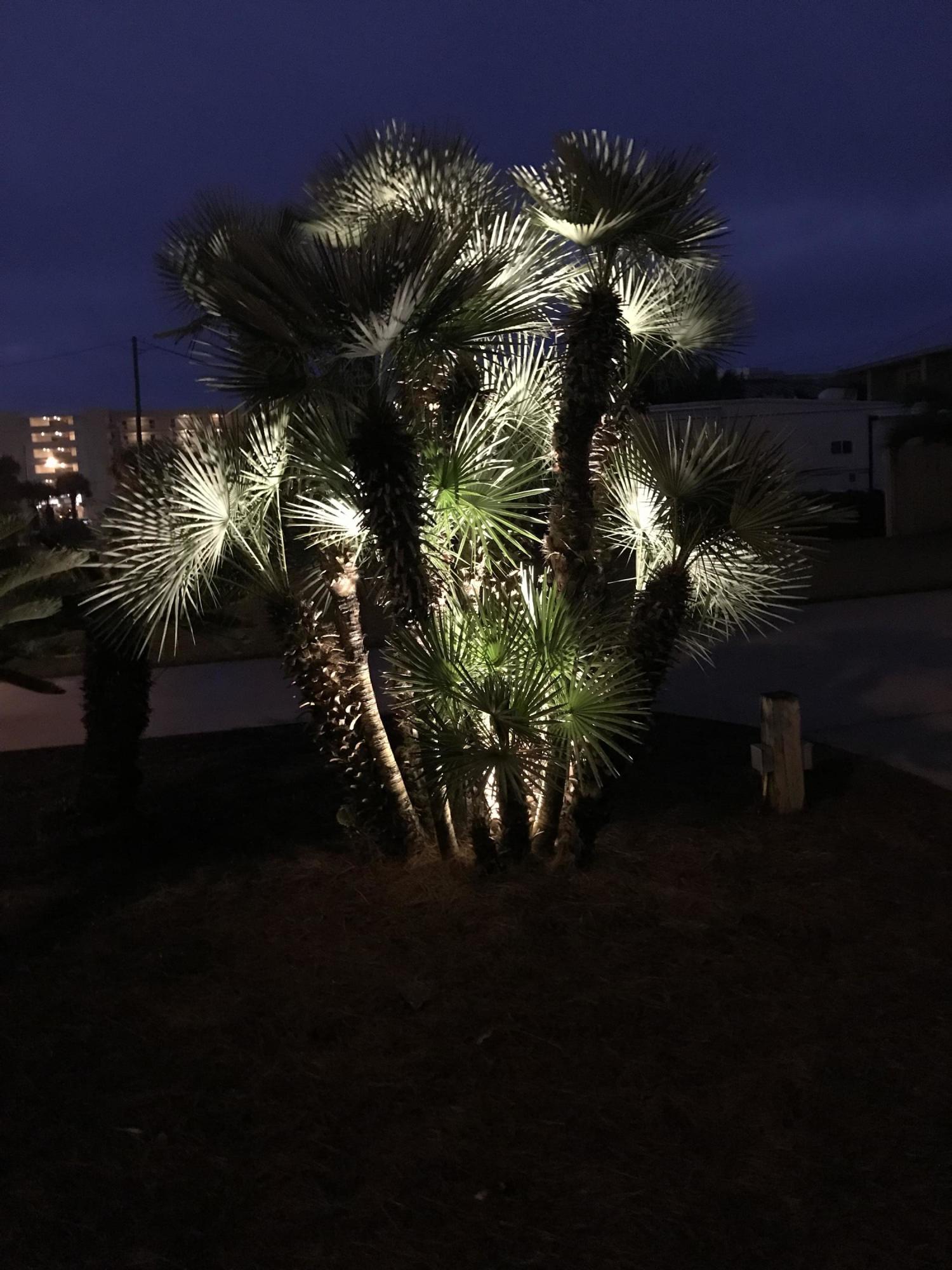 SANTA ROSA ISLAND - Residential