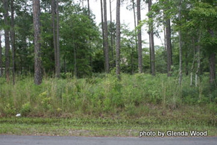Excellent price for nice residential lot. Build your home today in this peaceful neighborhood..Keep your boat just down the road at Marina Village...New Publix just minutes away. No build out time or association fees at the present time; opportunity for a beautiful home site at a reasonable price. Cross Creek Shores offers city water, underground utilities, paved streets and beautiful trees...near enough to the beautiful beaches, bay, and rivers of Walton County but not in the traffic or hustle and bustle of the resorts. Have the best of both worlds!