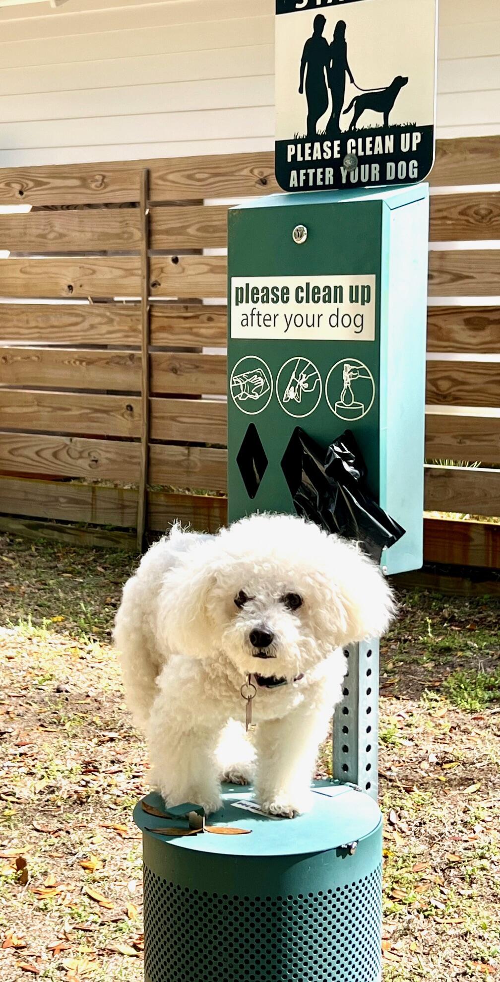 GRAYTON BAYOU - Residential