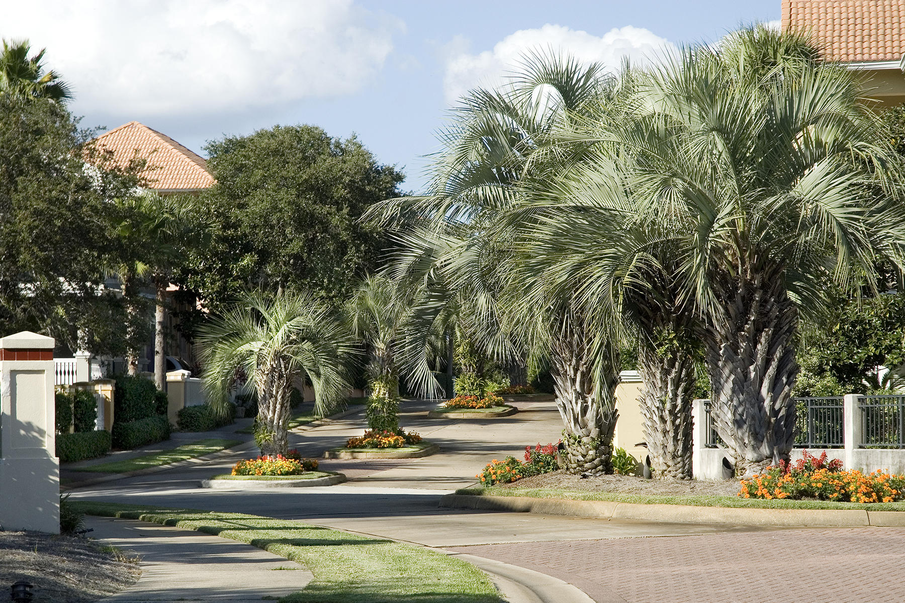 CARIBE - Residential