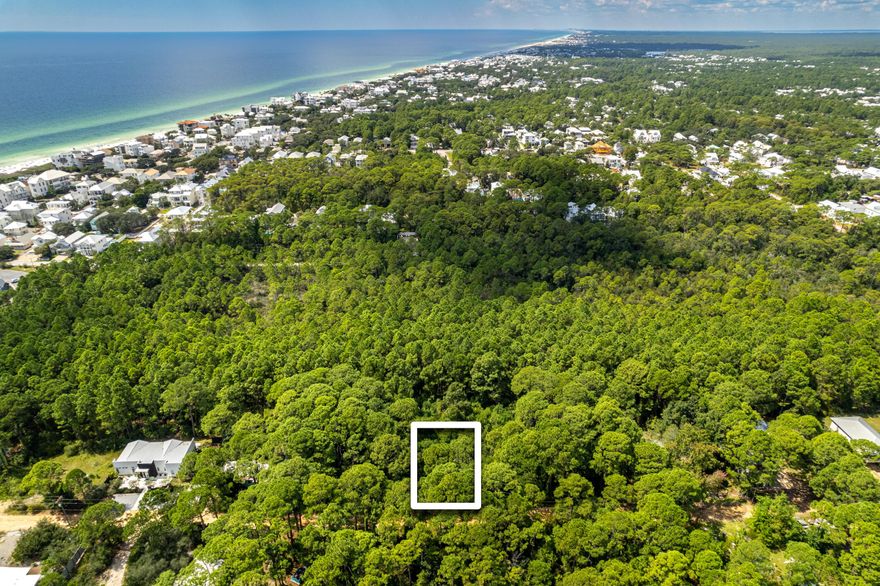 Discover a rare opportunity to own a stunning lot in the heart of Seagrove Beach on Campbell Street, just off Highway 30A. This wooded 100 x 75 ft lot offers the perfect canvas to build your dream custom home in a pristine location without the restrictions of an HOA. With a survey available and close proximity to a multitude of beach accesses (including one just south of Campbell), this property combines privacy and convenience, making it ideal for those seeking a serene coastal lifestyle. Don't miss the chance to create your perfect retreat in Seagrove Beach.