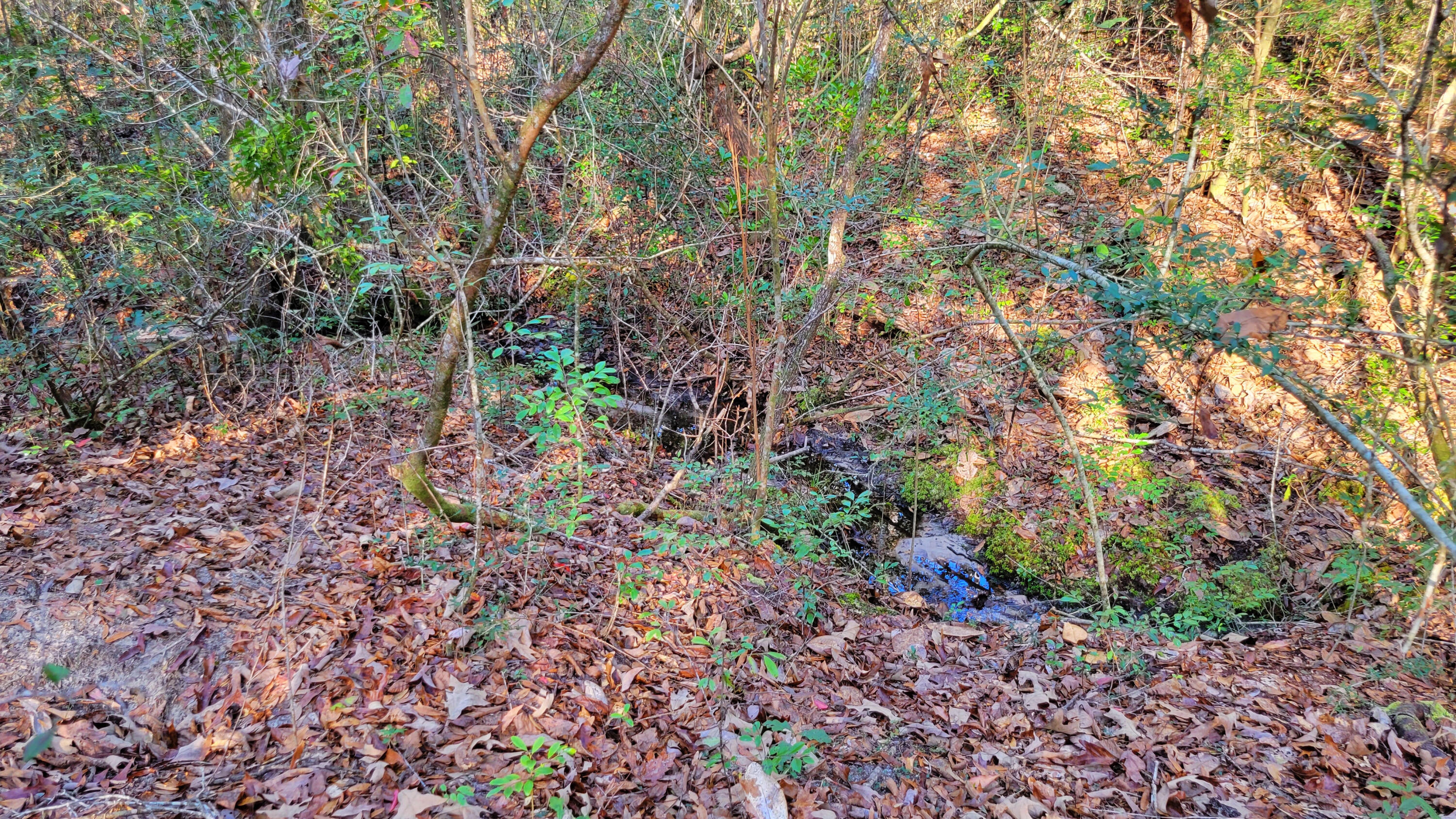 A Little Creek runs through it! This property is accessible on a paved county road. Property has access to electricity. Property zoned Rural Residential. This property strategically located approximately 6 miles from Blackstone Golf Course and Mossyhead Elementary School, 7.5 miles from I-10 exit 70, 8.5 miles from Emerald Coast Zoo, 32 miles from Eglin AFB, 30 minutes to the beautiful beaches of the Emerald Coast, and approximately 30 minutes to Crestview and Defuniak Springs, Florida, with plenty of shopping opportunities, as well as, access to 2 regional hospitals! This one is a must see!*All mileage is approximate. Buyer to verify all information. Additional Property available.