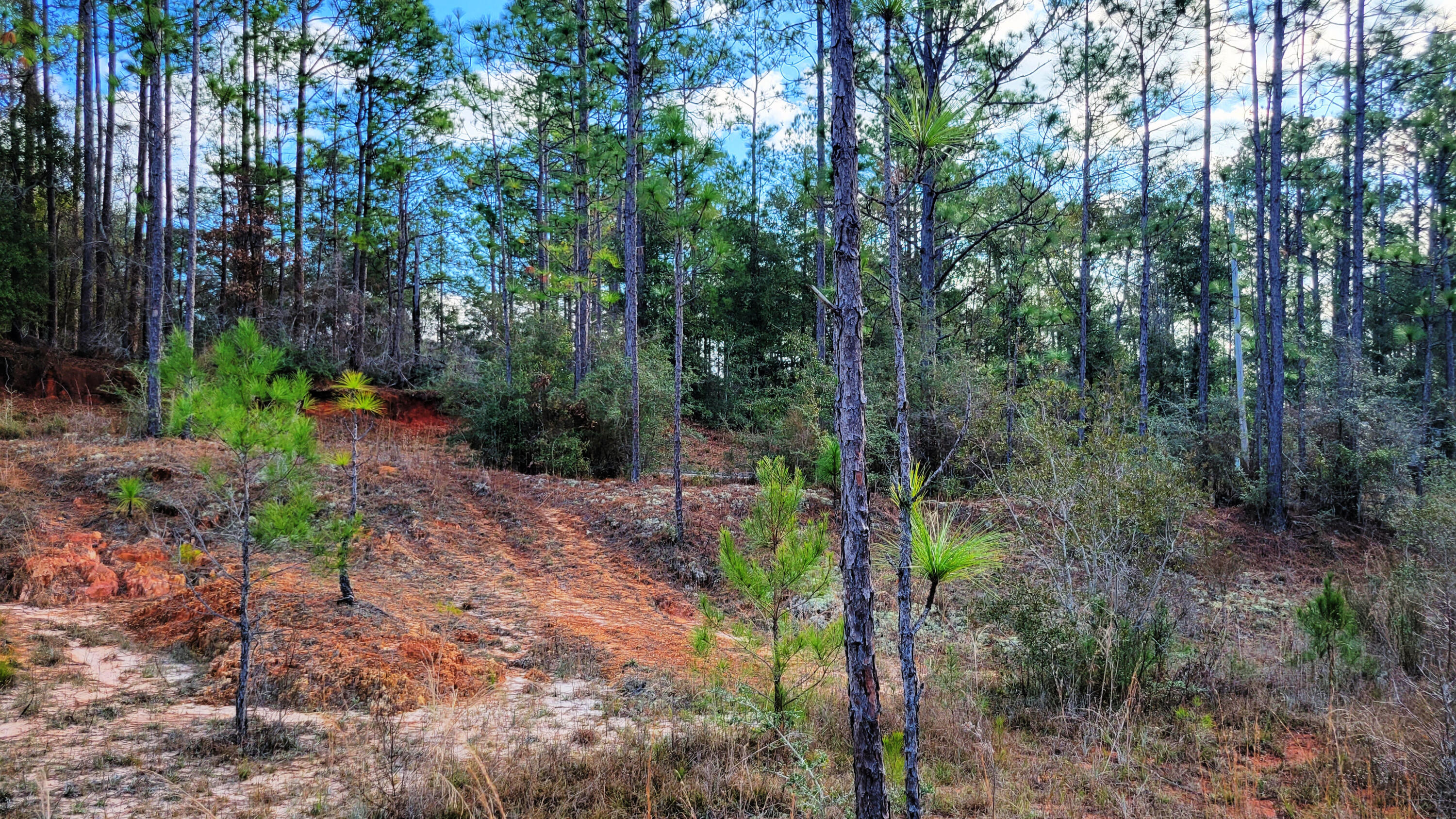 Wilson  Estate South - Land