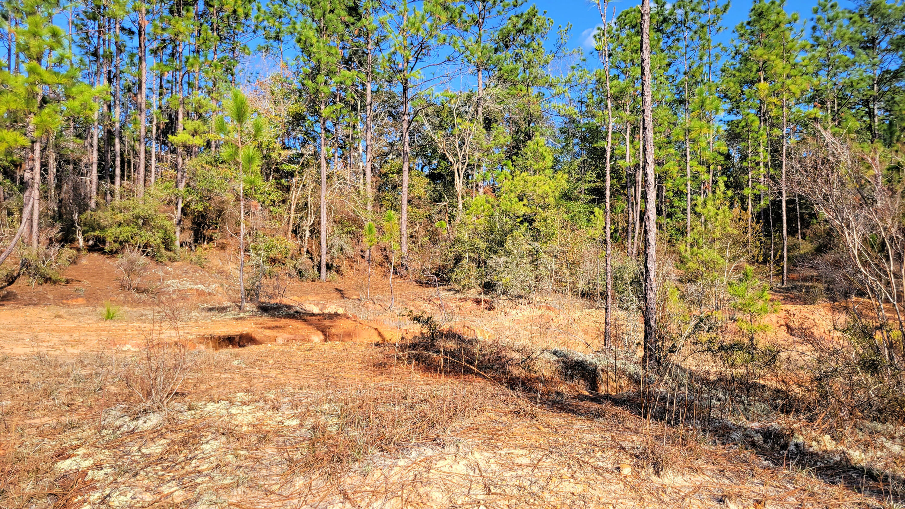 Wilson  Estate South - Land