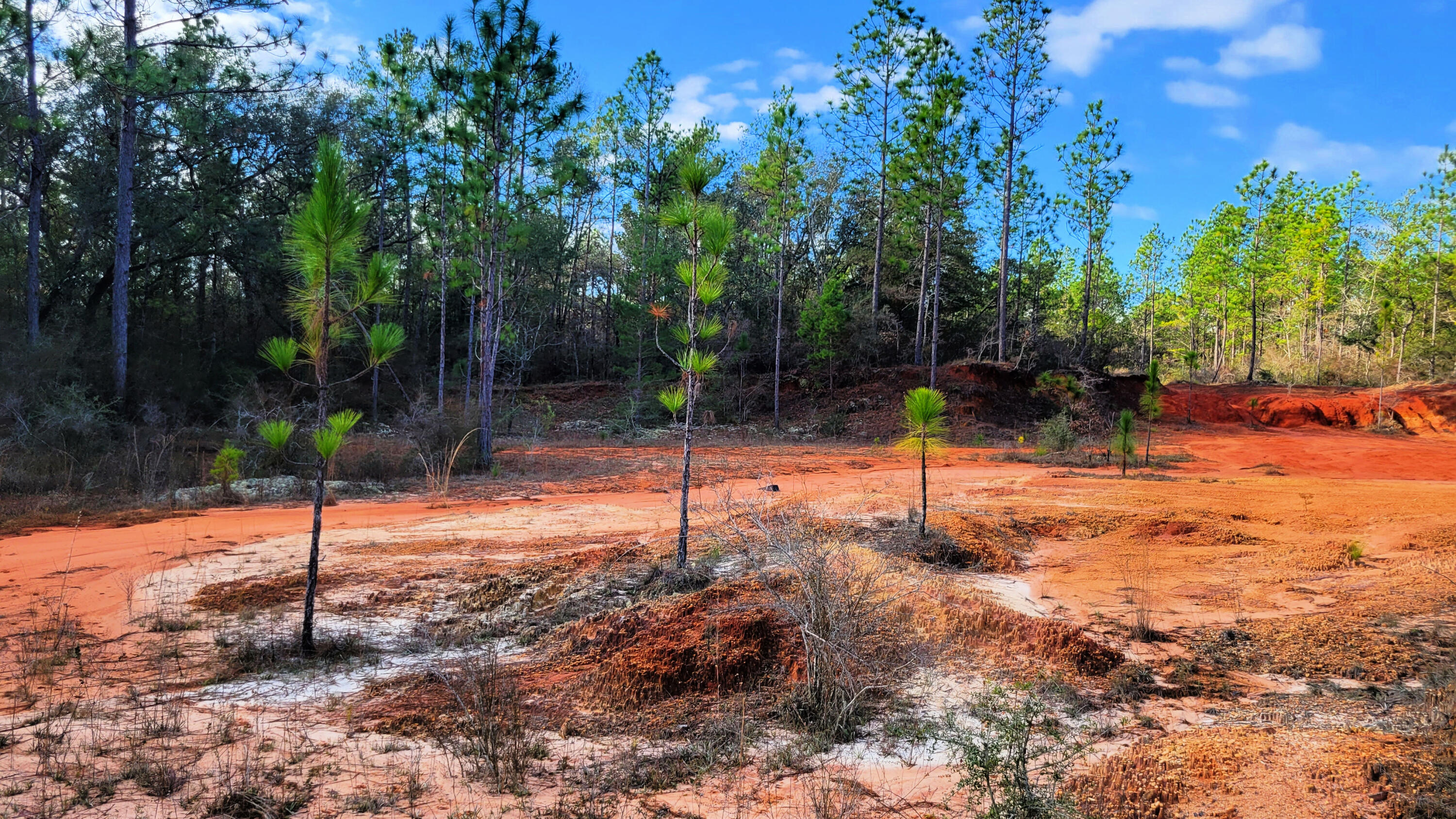Wilson  Estate South - Land