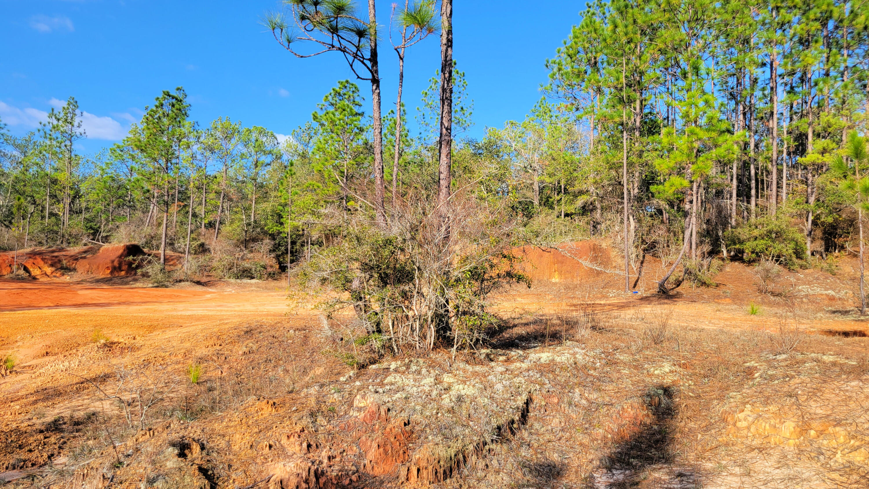 Wilson  Estate South - Land