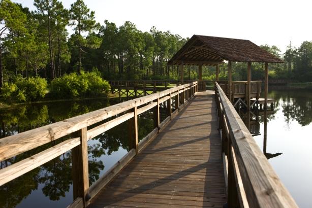 FOREST LAKES PH I - Land