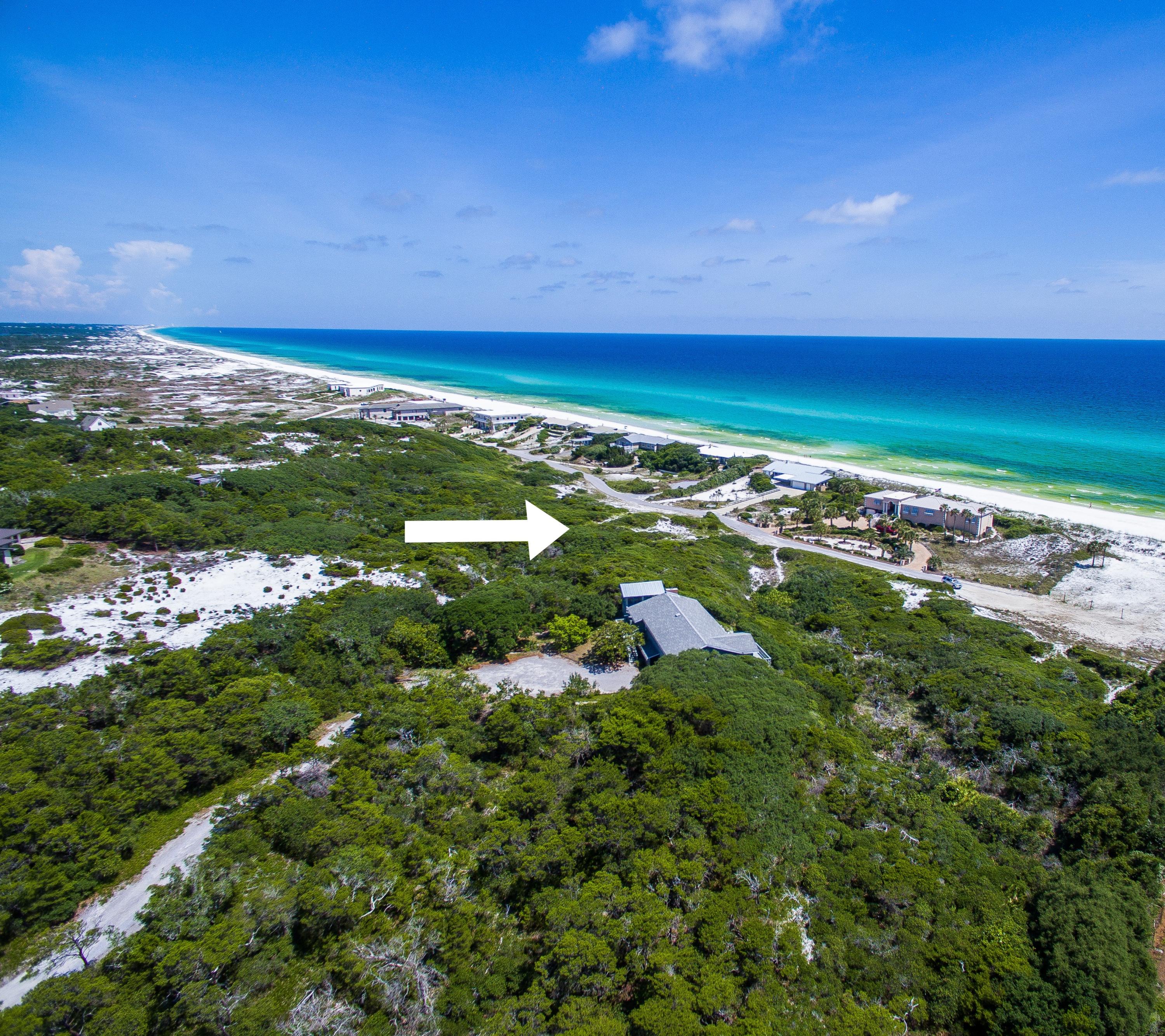 Discover the undiscovered! Located in the secluded community of Four Mile Village sits one of the largest lots in one of the most breathtaking natural settings in Walton County. This homesite is over an acre in size and offers expansive views overlooking the beautiful sand dune landscape and the Gulf of Mexico as well as quick and easy access to the beach. Four Mile Village is a unique community bordered by the Coffeen Nature Preserve on the North, the Gulf of Mexico to the South, and Tops'l Hill State Park to the East. Four Mile Village is known for having the best of both worlds, however the highlight of this stunning community is the serenity of it.