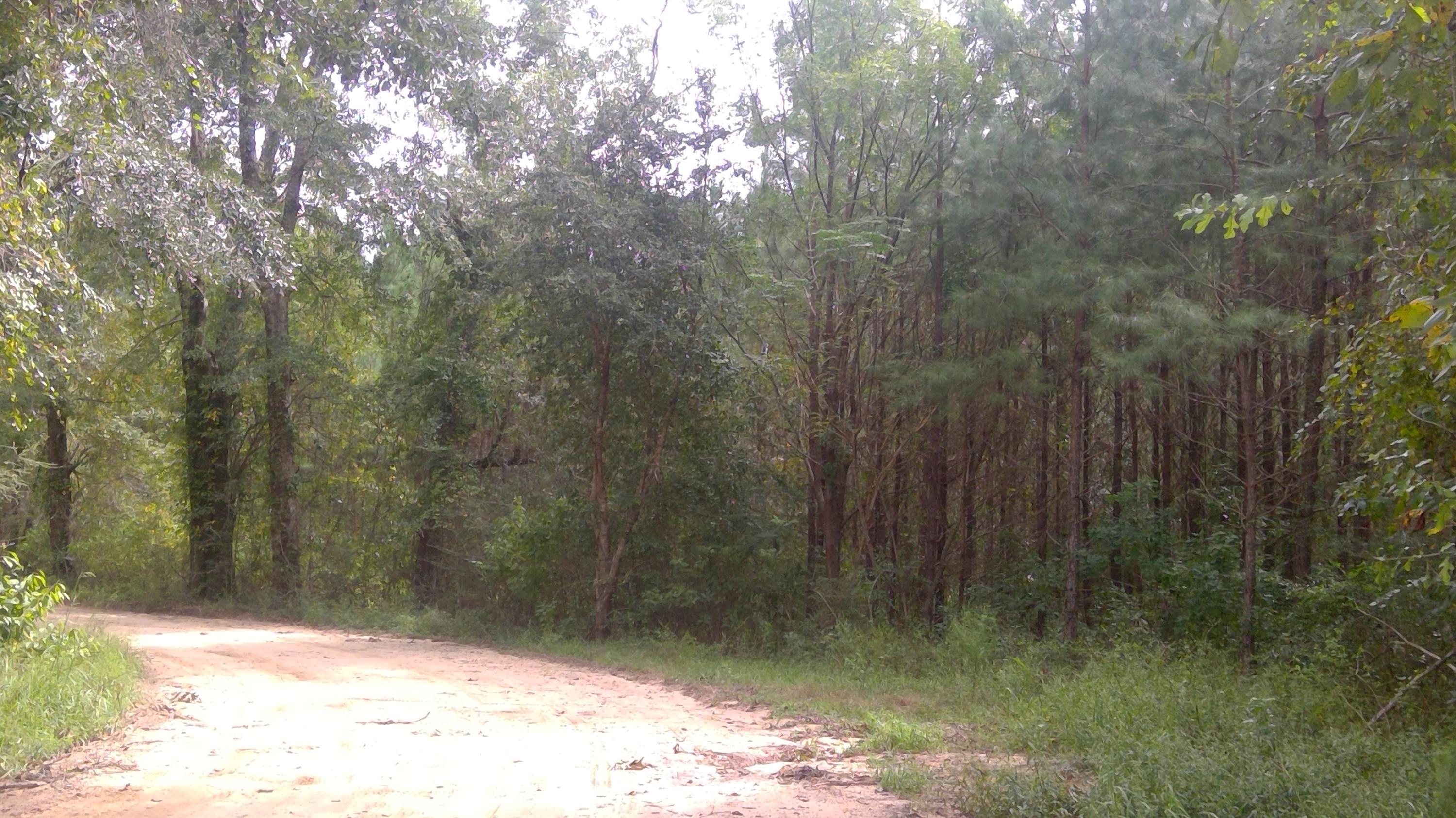 Did the latest pandemic make you think about purchasing acreage out of town? This property boast a mixture of timber, hardwoods, and creek frontage this beautiful acreage offers the best of that nature has to offer. Private enough for hunting yet close enough to Laurel Hill and North Crestview to allow easy access for grocery stores, movies, shops etc.Power easement. Buyer to varify all information deemed important.