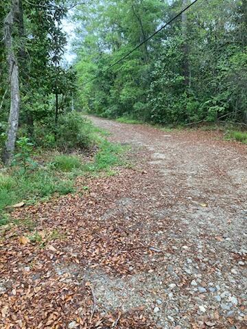 0.37 Acres Near The Bay! ***Cheapest Priced over 1/3 Acre in The Entire Area*** *******Motivated Seller. Priced for quick sale******Flat****High & Dry**** (Zone X)Over 1/3 Acre mere steps from the water's edge of the Choctawhatchee Bay and Pitts Bayshore Public Park. You'll enjoy fast access to the bay (with access to Gulf of Mexico), plus proximity to all necessary amenities including Publix and new commercial shopping plaza about 6 minutes a 0.37 Acres Near The Bay! ***Cheapest Priced over 1/3 Acre in The Entire Area*** *******Motivated Seller. Priced for quick sale****** Flat****High & Dry**** (Zone X) Over 1/3 Acre mere steps from the water's edge of the Choctawhatchee Bay and Pitts Bayshore Public Park. You'll enjoy fast access to the bay (with access to Gulf of Mexico), plus proximity to all necessary amenities including Publix and new commercial shopping plaza about 6 minutes away.