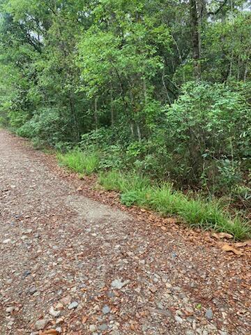 PITTS BAY SHORE - Land