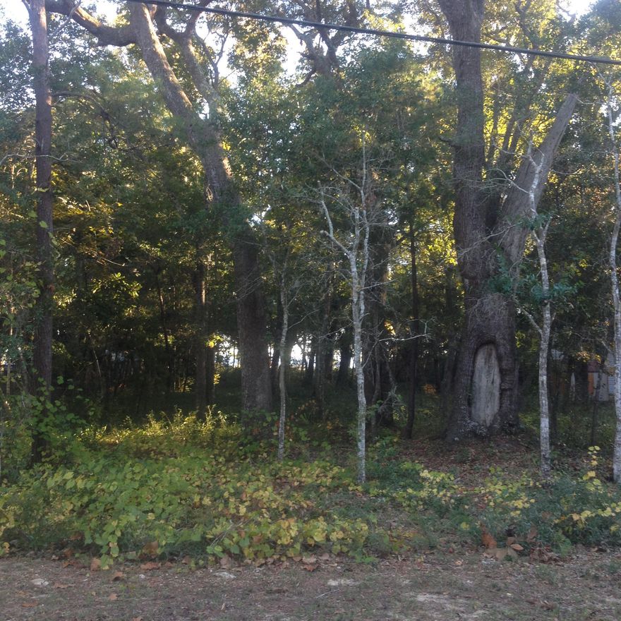 Wonderful lot to build YOUR home on! Only 3 miles from the Mid-Bay bridge connector road and 10 miles to Eglin AFB. The sandy white beaches of Destin are only minutes away!! Come check it out today! Note: Waterfront lot directly to the South is also for sale see MLS #718003