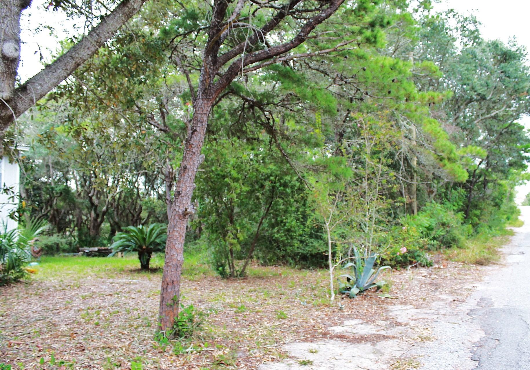 BLUE MOUNTAIN BEACH - Residential