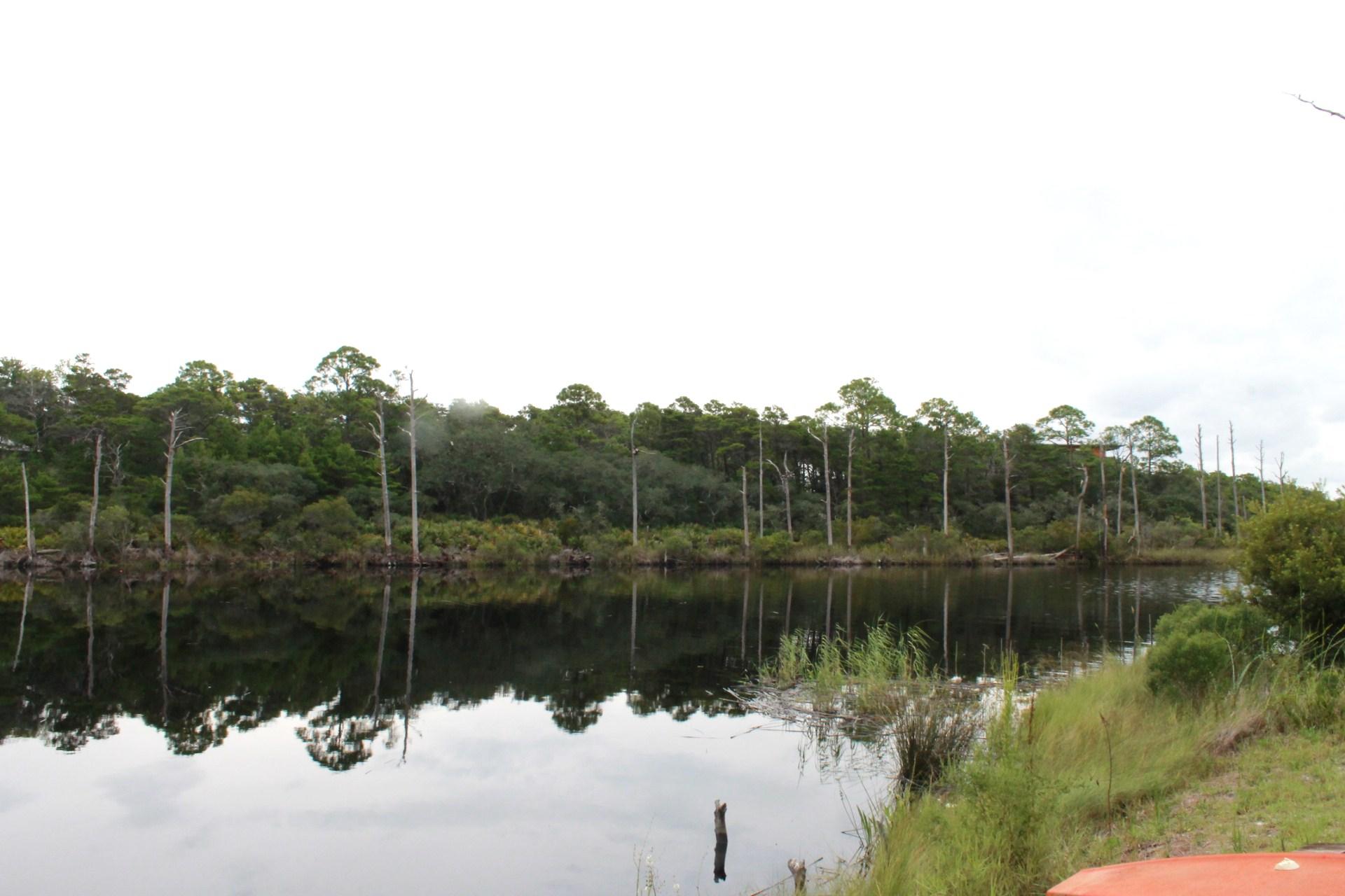 Priced to sell!! Incredible opportunity to purchase this Waterfront Lot on Blue Lake Rd. located in the desired beachfront community of Blue Mountain Beach! You're also just a short walk to the the most beautiful beaches on 30-A. The Blue Mountain Beach subdivision has no build-out or home style requirements and no association fees. (Note: The home is being sold As-Is.) Seller has an accepted offer on the home. Contract is continue on 20 calendar day due diligence period. Seller will take back up offers.