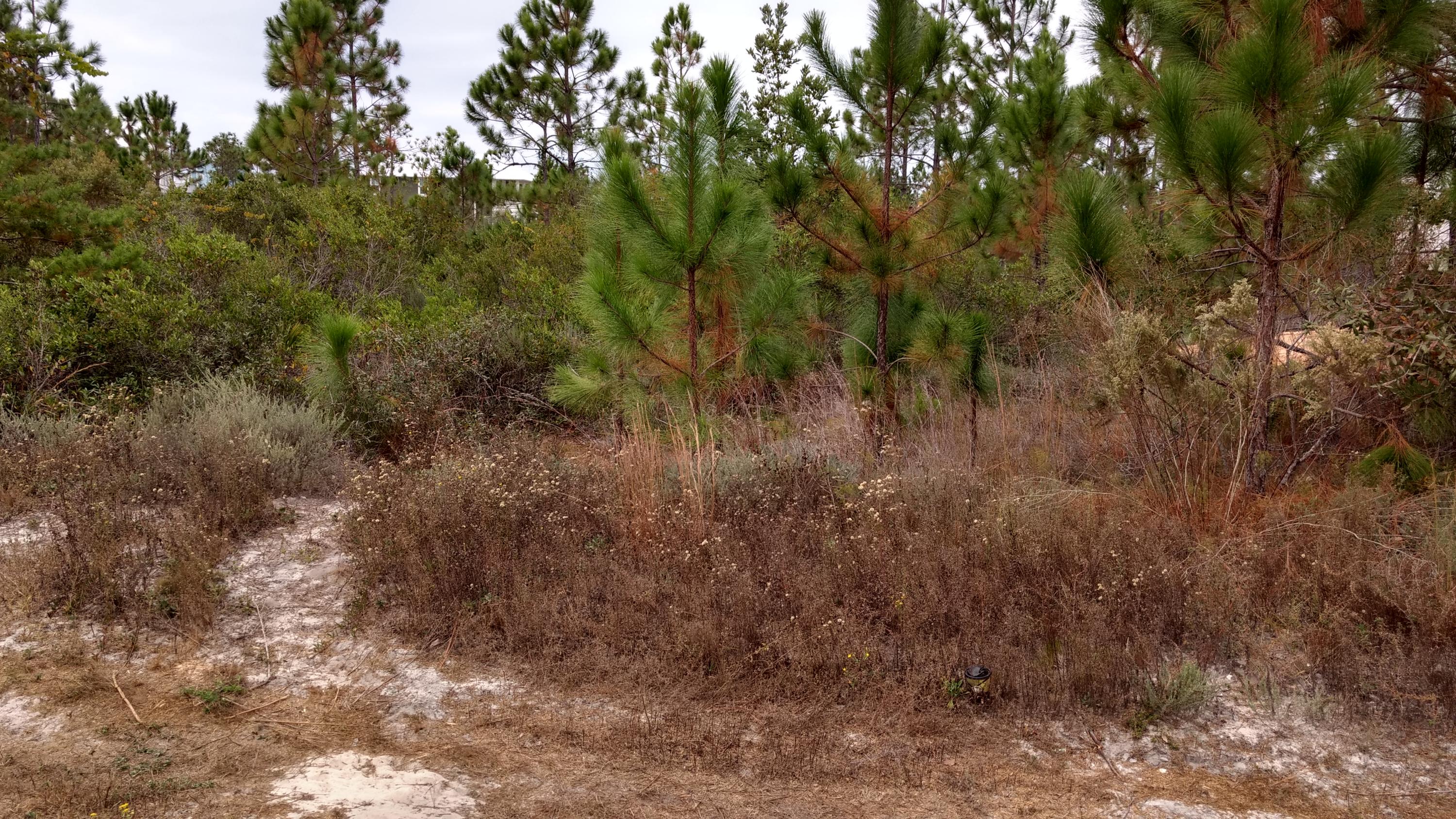 CYPRESS BREEZE PLANTATION - Land