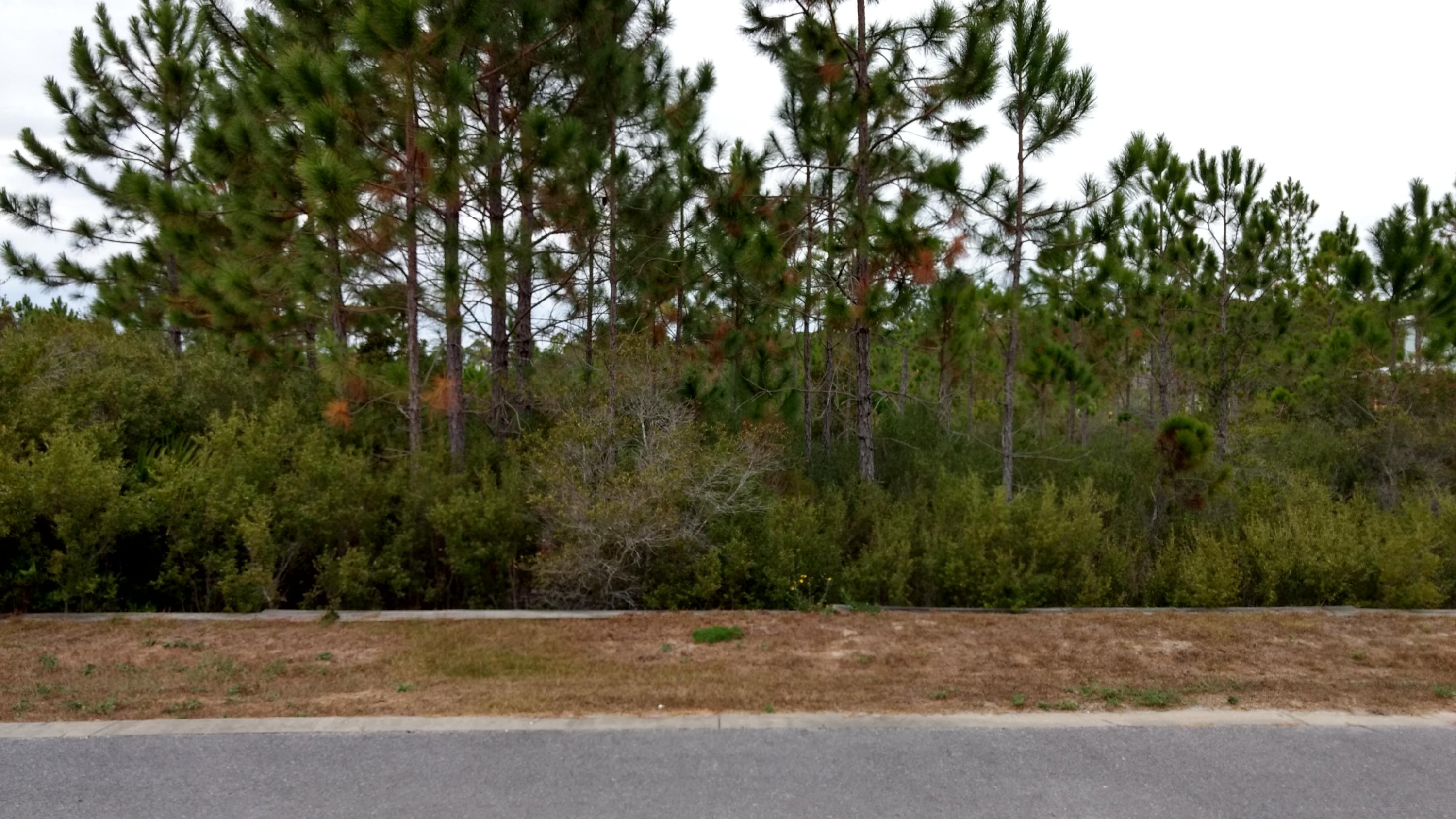 CYPRESS BREEZE PLANTATION - Land