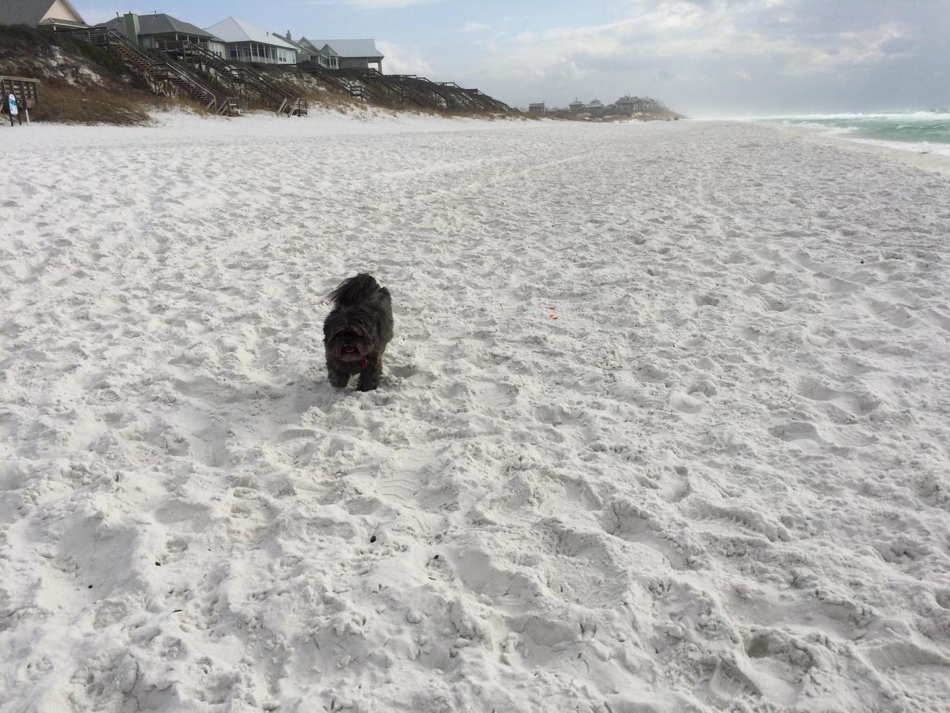 GULFVIEW HEIGHTS 1ST ADDN - Residential