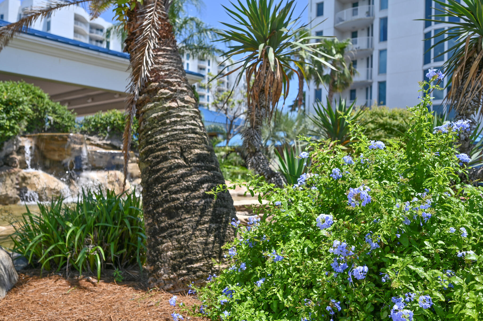 THE PALMS OF DESTIN - Residential