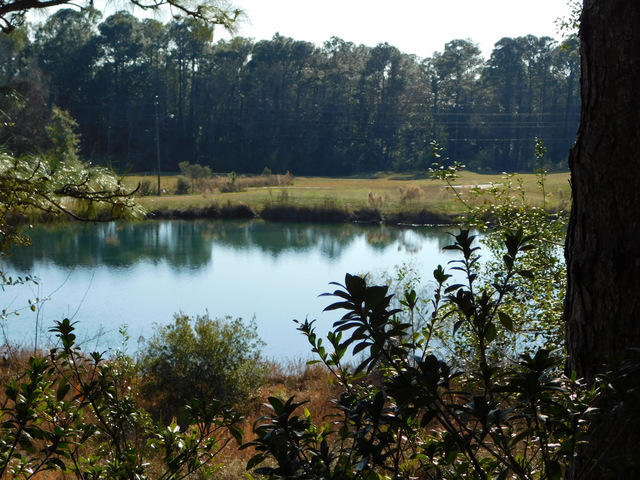 PINNACLE POINT - Residential