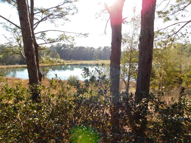 PINNACLE POINT - Residential