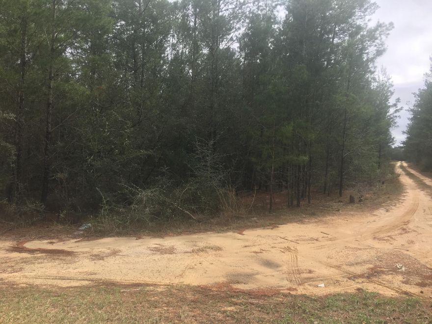 If you are looking for a great place to build your dream home out in the country, this is it. Property is on a private road apprx 1/4 mile from Richardson Rd. Easy access to Hwy 90, IH 10 and less than 30 minutes to Eglin AFB, Niceville, Crestview and Defuniak Springs.
