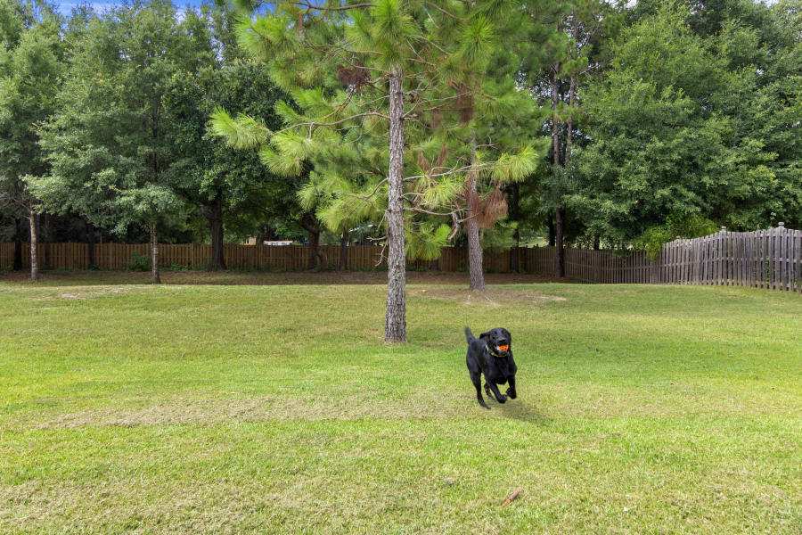 Mill Creek Farms - Residential