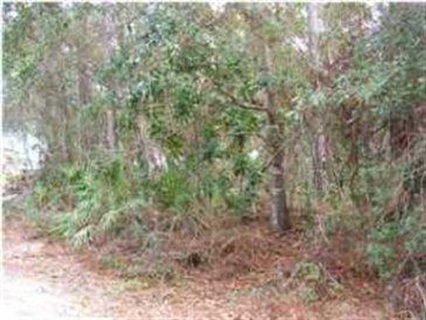 Fantastic wooded lot (lots of scrub oaks and pine) backing up to conservation area. Completely private backyard in perpetuity. Harstvedt is a 'brick and Hardie' Craftsman style community; with brick paver sidewalks, drives, and street lights.Located 1/3 of the mile from the bay, Less than 1 1/2 mile to South Walton High School, Boys and Girls Club, Walton County Library, Seacoast Collegiate High School, Padgett Park and the boat ramp / fishing docks at 331 Bridge.Private, but with easy access to 331. 3 1/2 miles to Santa Rosa Beach Publix.HOME (OWNED BY THE SAME OWNER) IN PHOTO IS LOCATED IN THE SAME COMMUNITY - 5 LOTS DOWN. IT IS INDICATIVE OF THE STYLE OF HOMES IN HARSTVEDT PLANTATION.*OWNER IS A BUILDER & CAN BUILD TO SUITADDITIONAL LOT AVAILABLE