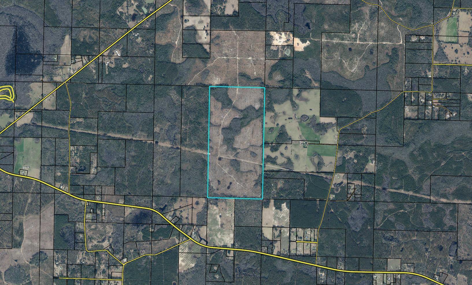 Timber investment - recreational tract with tons of wildlife. 320 acre tract has 4-5 year old planted loblolly. Natural gas line easement runs through both parcels.