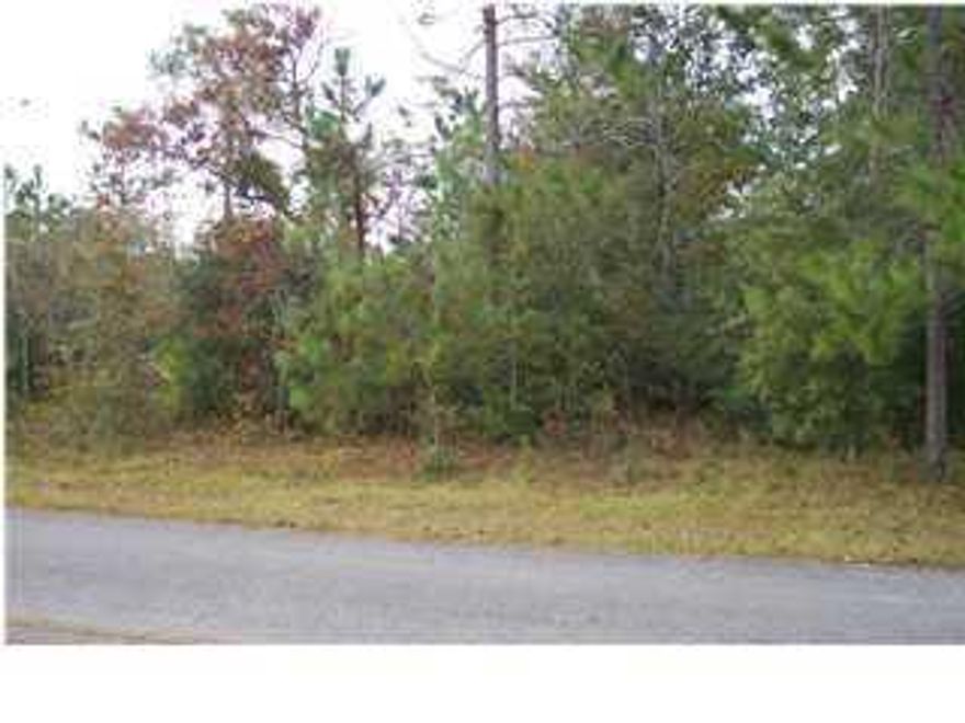 BUILD YOURSELF A NEW HOME! SELLER SAYS HE IS MOTIVATED! GREAT PRICE FOR THIS LOT! Just off Hwy 331, Lake Juniper Estates is tucked away as a quiet neighborhood, with spacious lots - where neighbors aren't living on top of each other. Across the street from the lot is the beauty of a lake. It's slightly over an acre on a paved street in restricted subdivison. Ready for you to build your new home today!