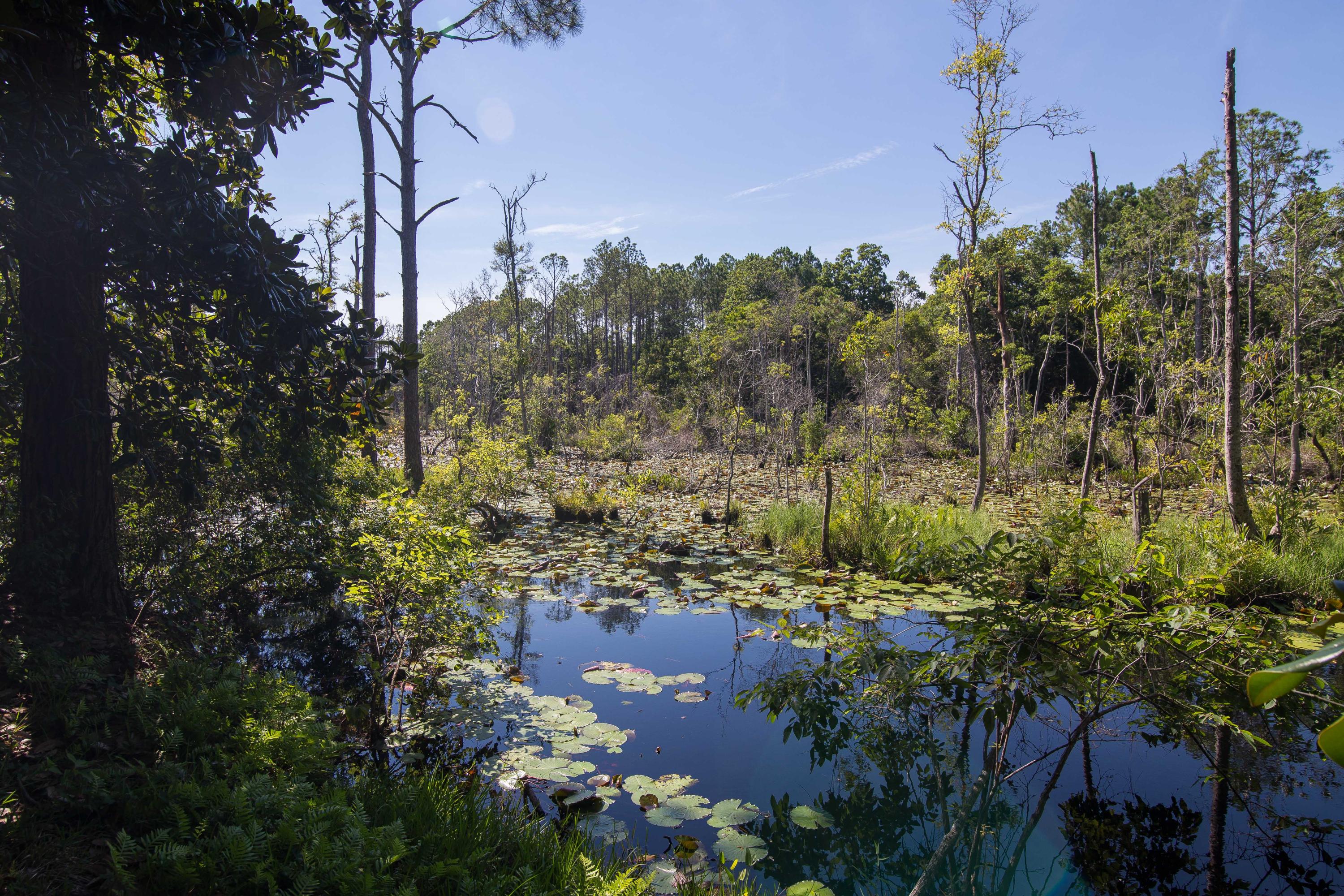 SEAGROVE SHORES 4TH ADD - Residential