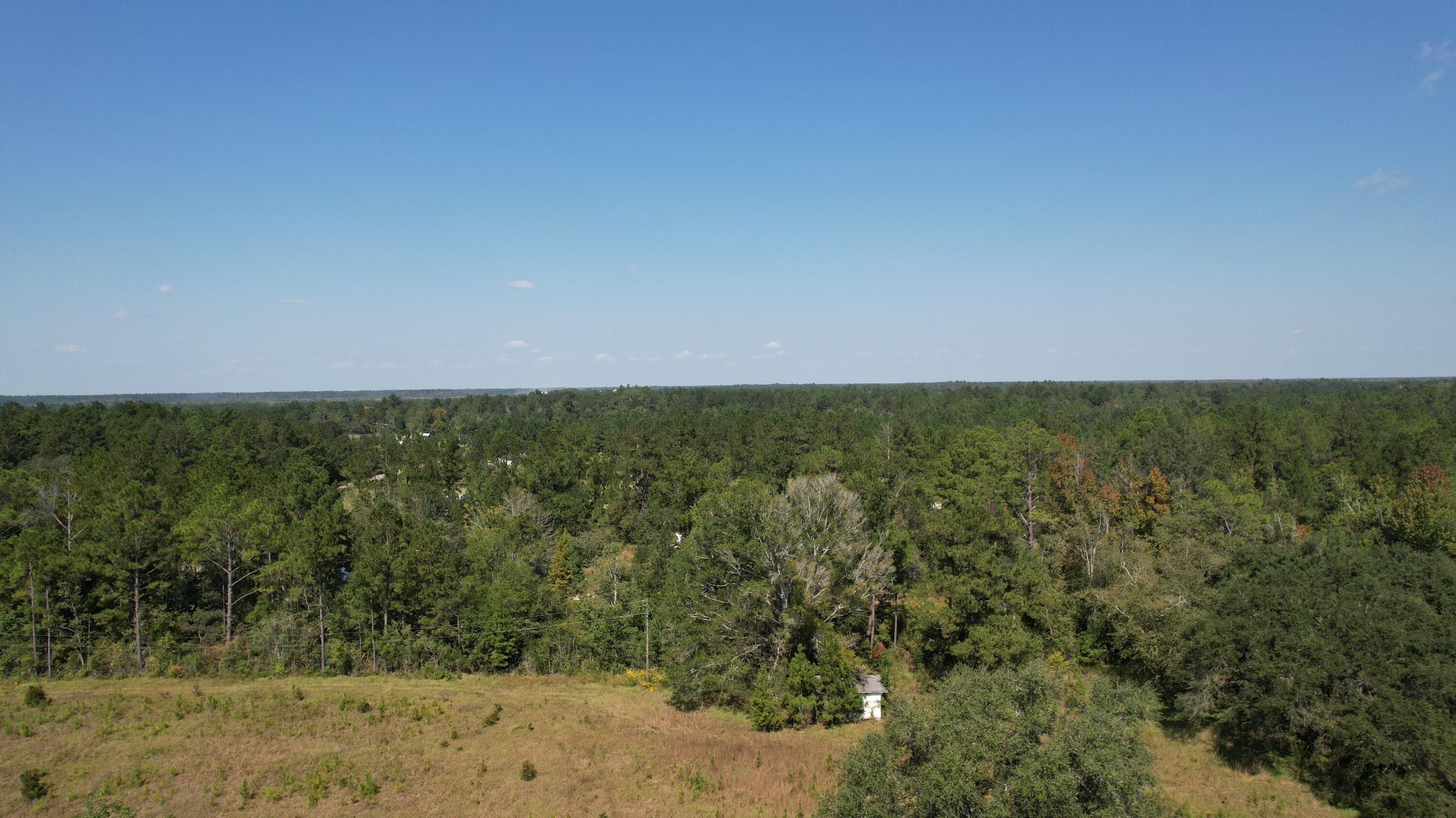 Gulf County Farms - Land