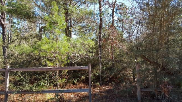 DELAWARE PLANTATIONS - Land