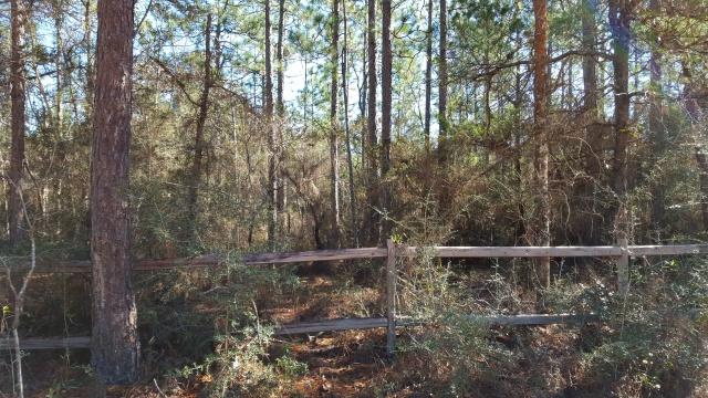 DELAWARE PLANTATIONS - Land