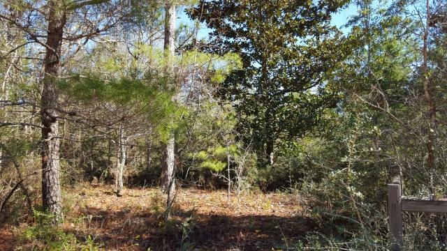 DELAWARE PLANTATIONS - Land