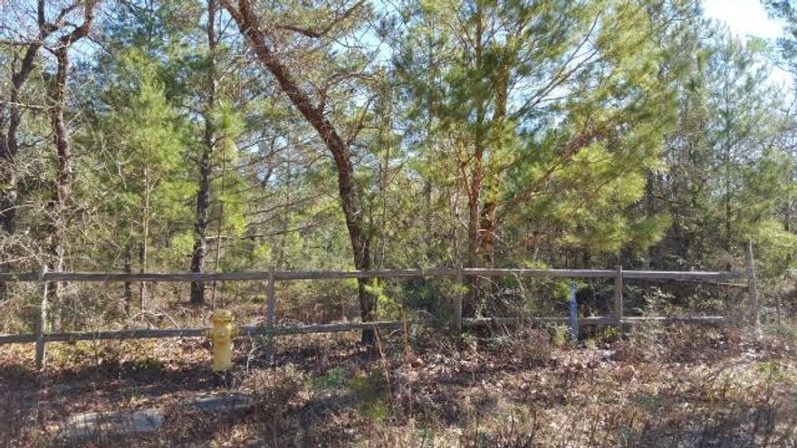 5 Gorgeous Level acres, ready for you to build your secluded dream home. Most perimeter fencing is in place. Fire hydrant located at the corner of property should lower your fire insurance rates! Close to Defuniak, Crestview and Hwy 285. Located within 30 minutes of Eglin AFB or Duke Field/Special Forces. Easy commute to I-10.