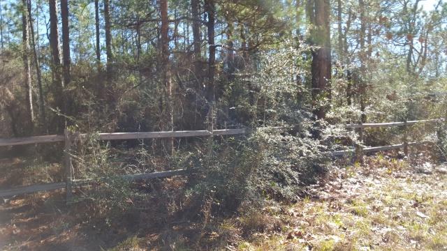 DELAWARE PLANTATIONS - Land