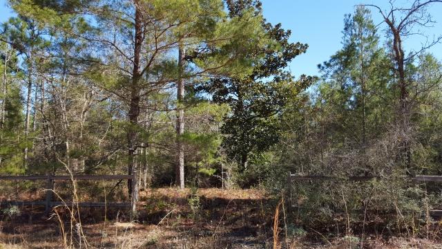 DELAWARE PLANTATIONS - Land