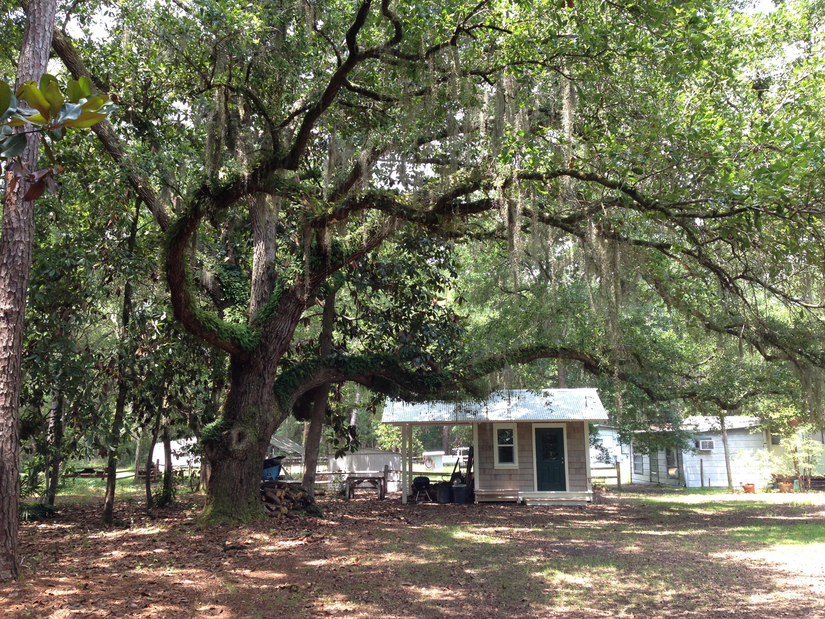 Historic Point Washington - Residential