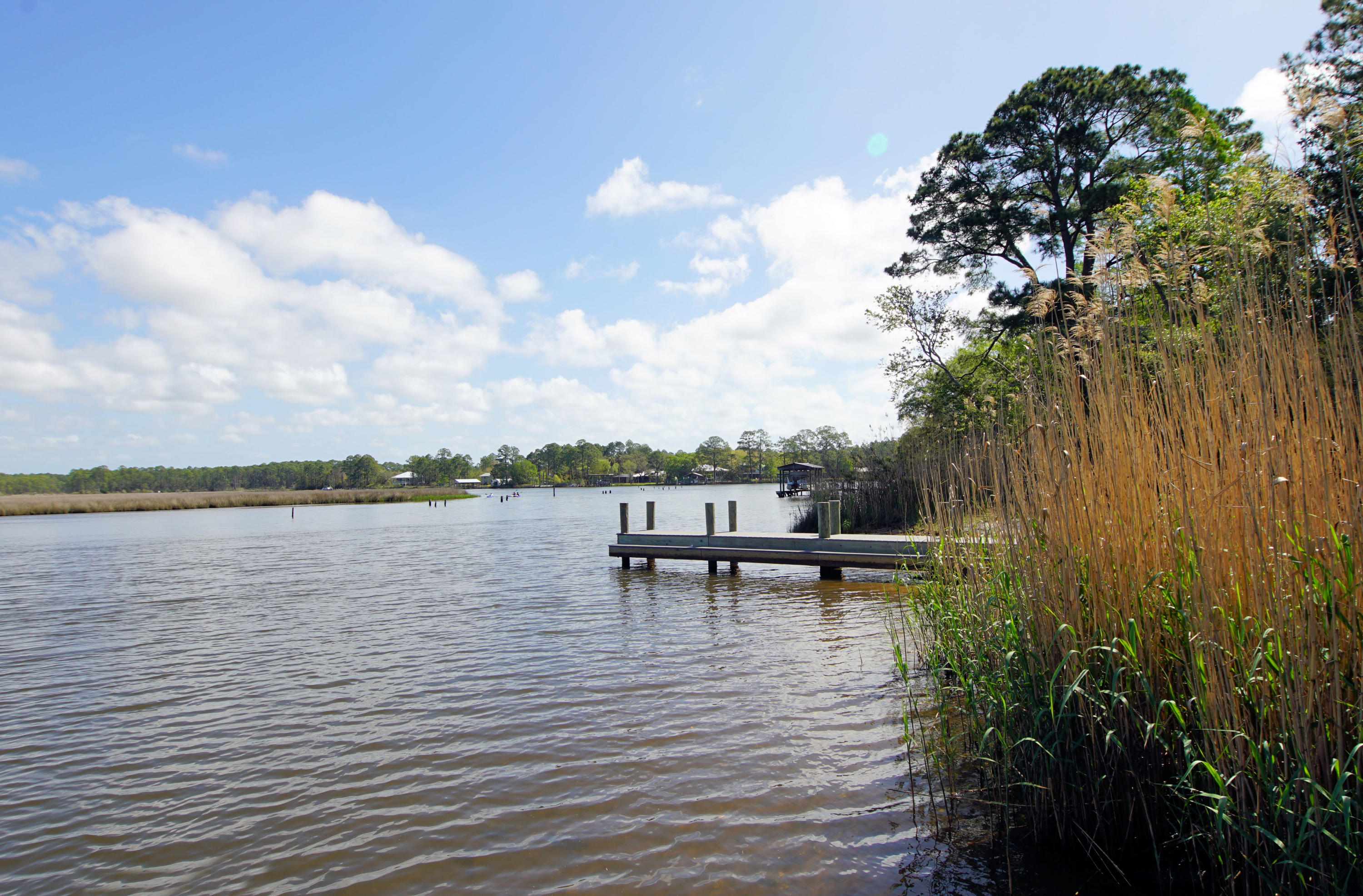 AUDUBON POINT - Residential