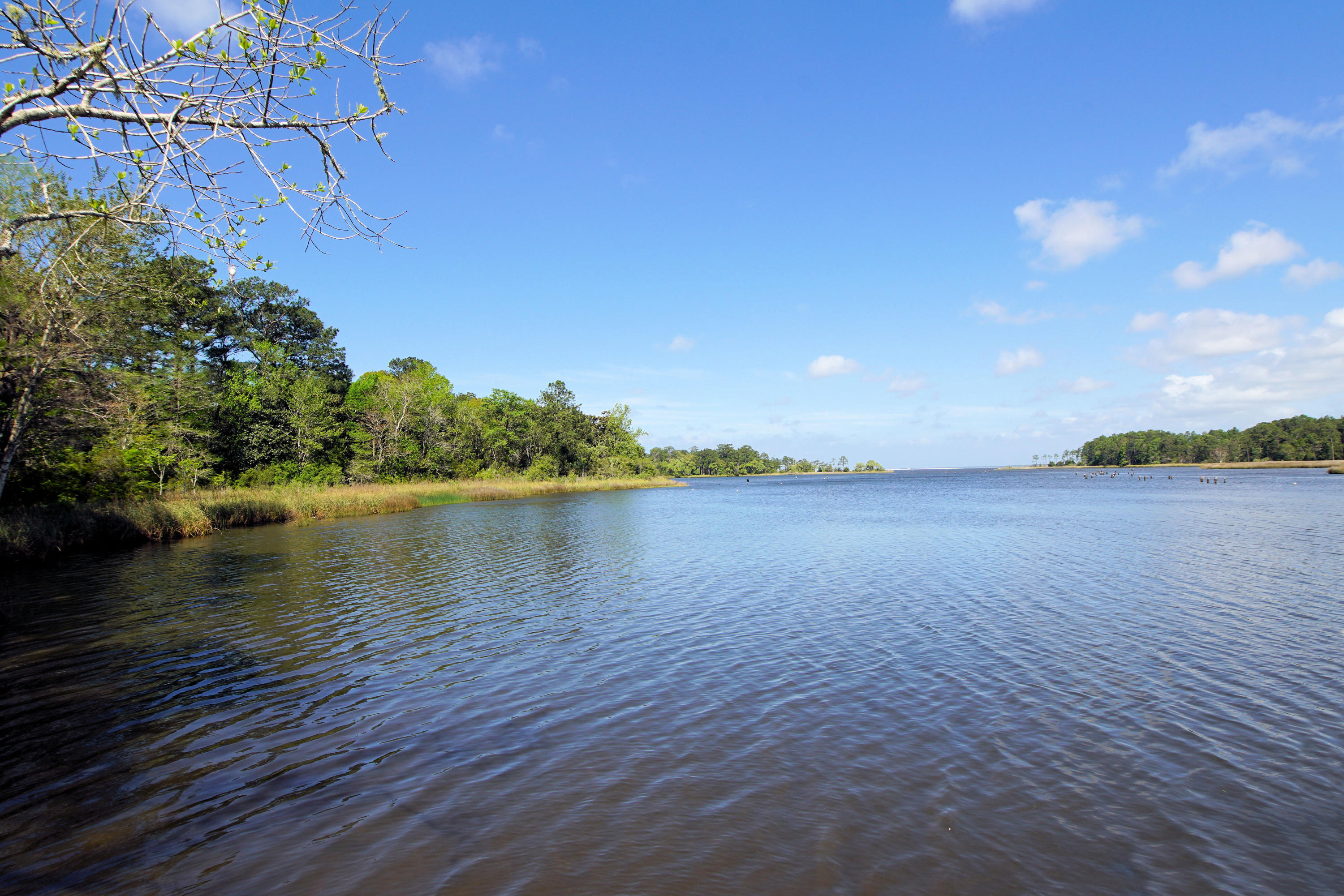 AUDUBON POINT - Residential