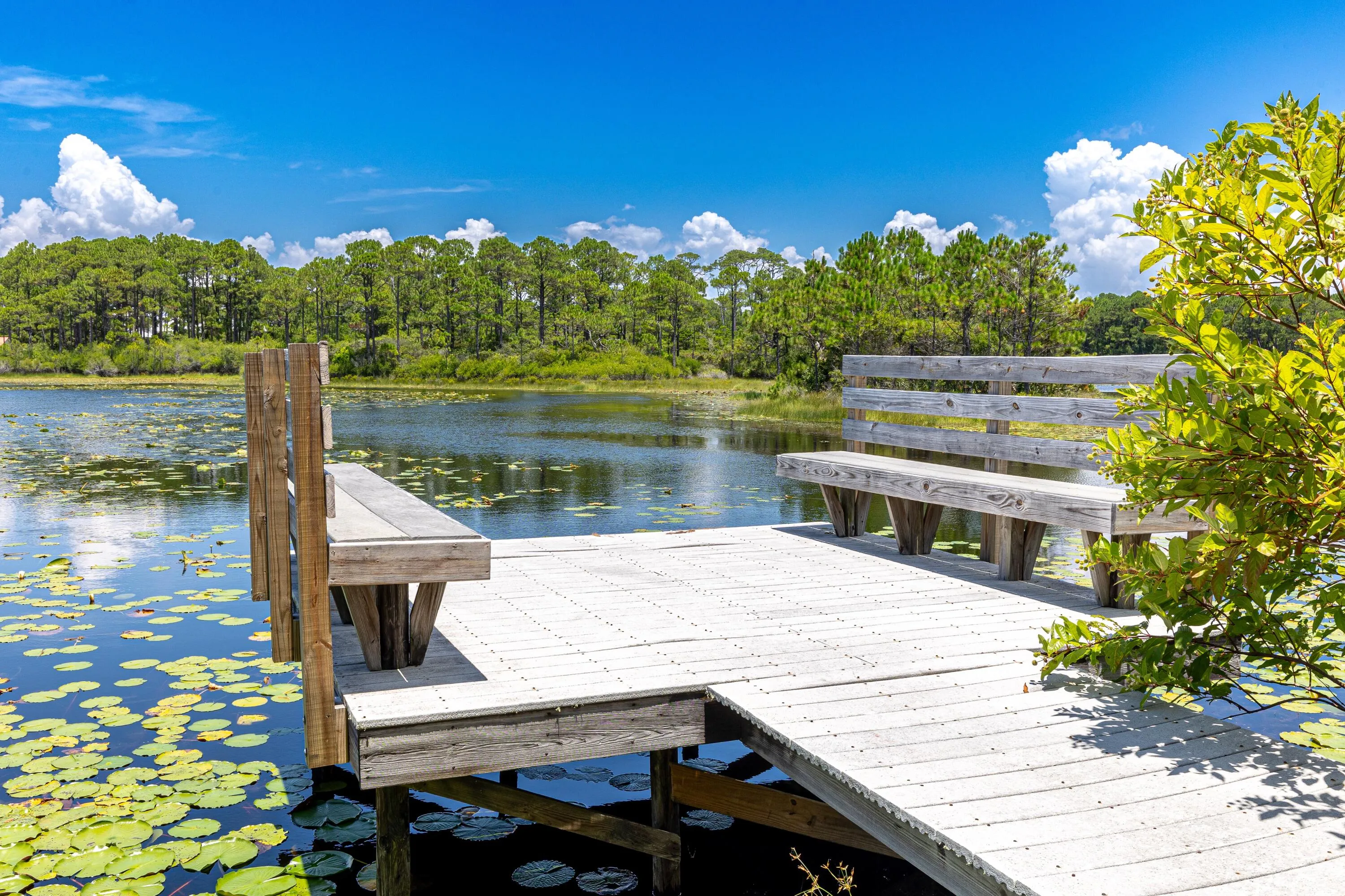 Santa Rosa Beach, Florida 32459, United States, 3 Bedrooms Bedrooms, ,4 BathroomsBathrooms,Residential,Active,169523