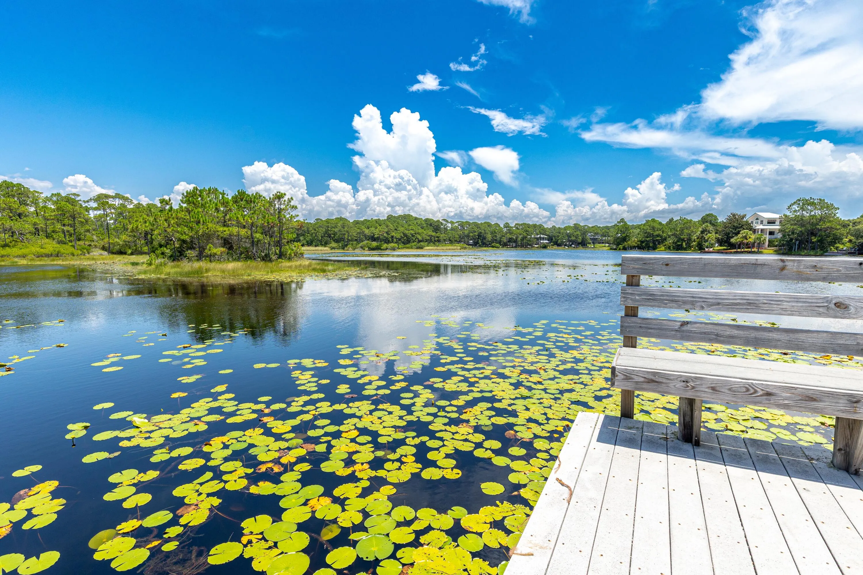 Santa Rosa Beach, Florida 32459, United States, 3 Bedrooms Bedrooms, ,4 BathroomsBathrooms,Residential,Active,169523