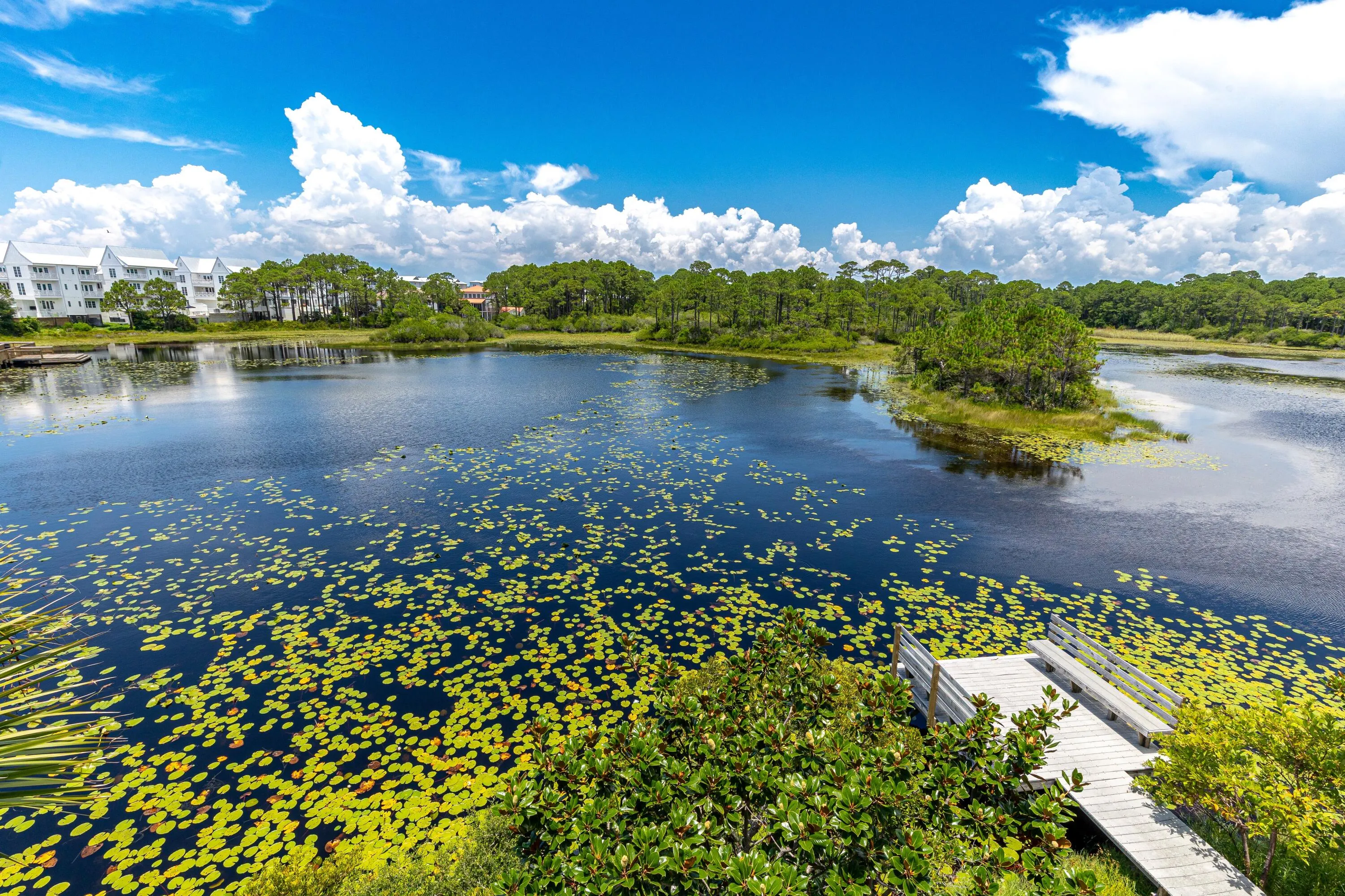 Santa Rosa Beach, Florida 32459, United States, 3 Bedrooms Bedrooms, ,4 BathroomsBathrooms,Residential,Active,169523