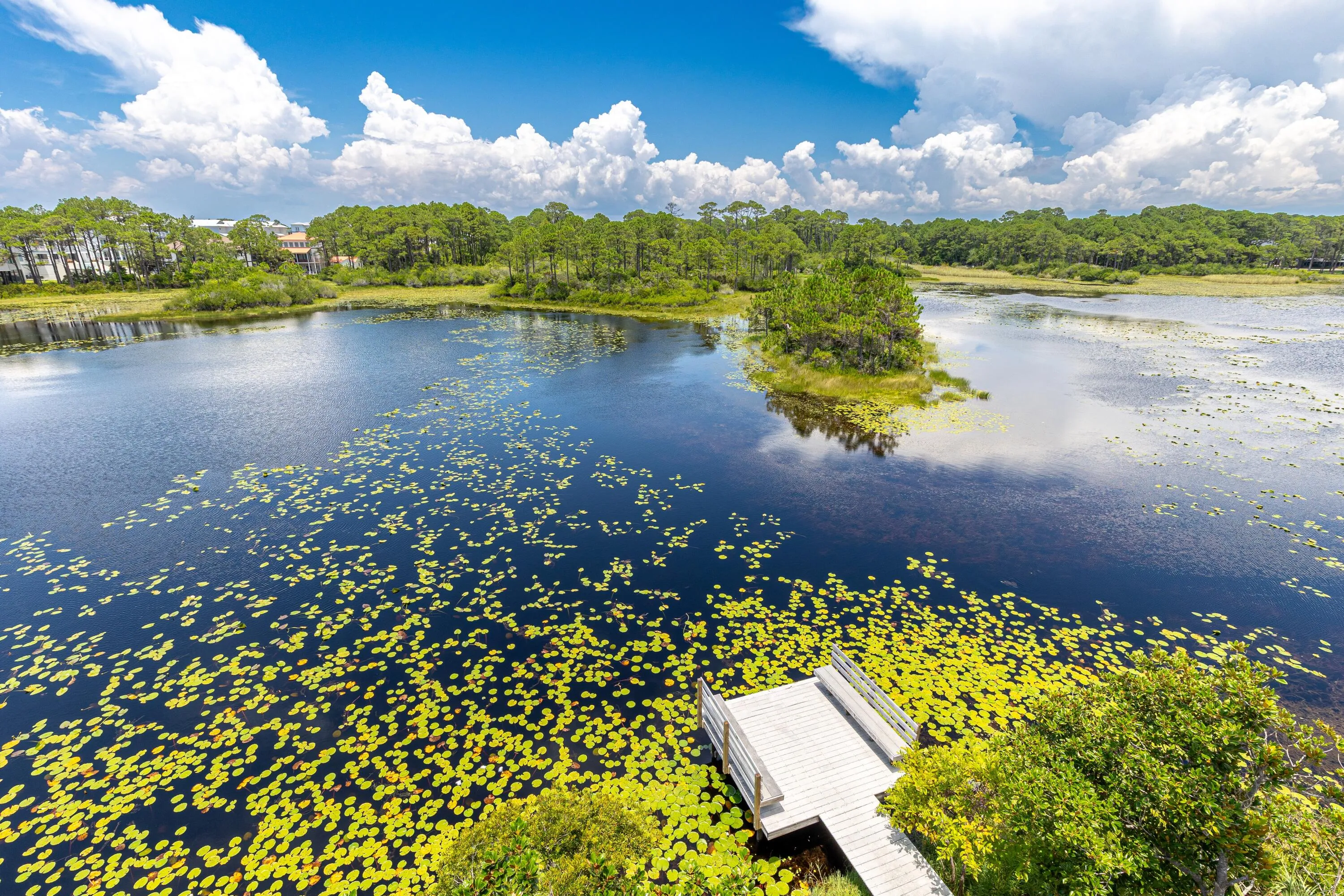Santa Rosa Beach, Florida 32459, United States, 3 Bedrooms Bedrooms, ,4 BathroomsBathrooms,Residential,Active,169523