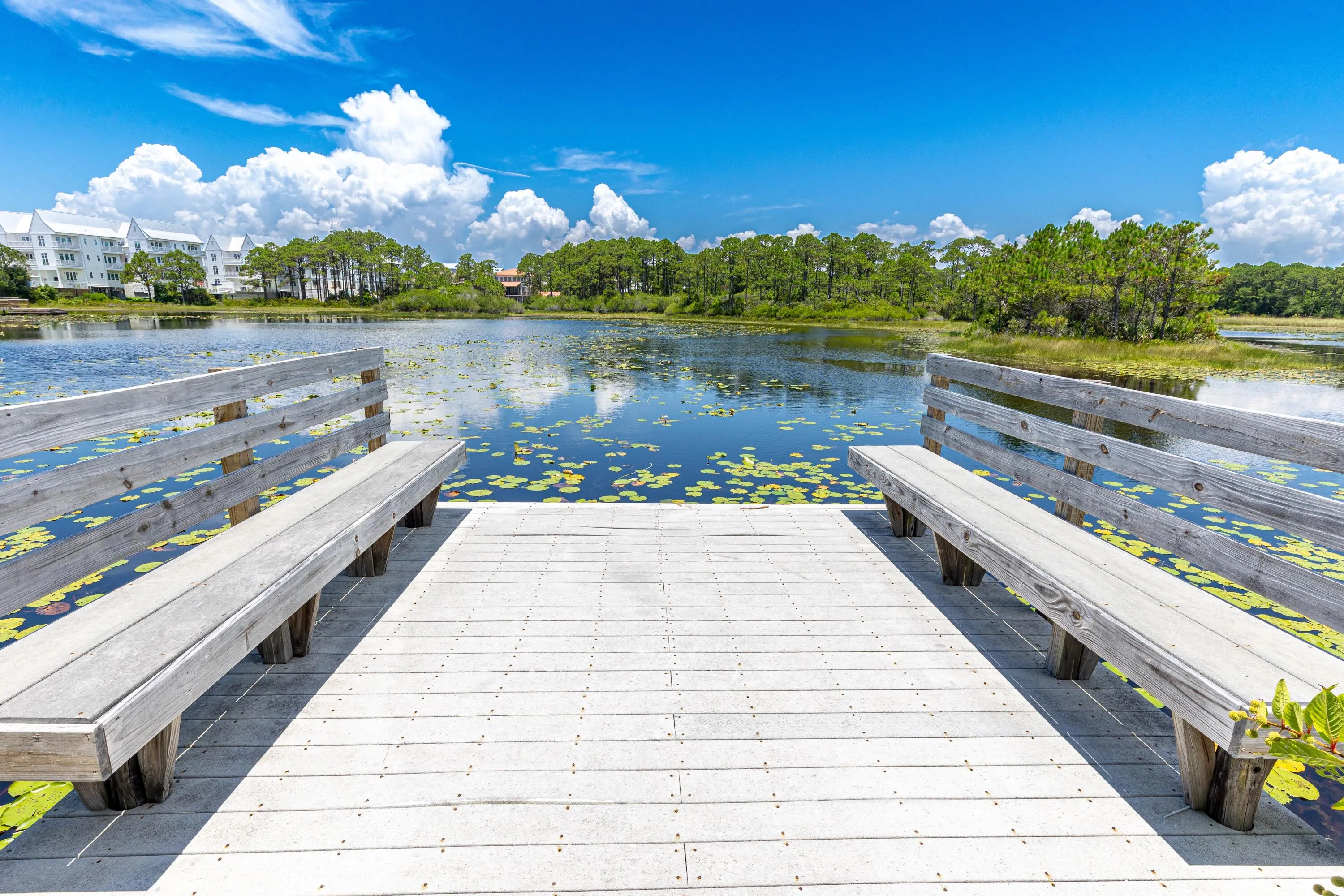 Santa Rosa Beach, Florida 32459, United States, 3 Bedrooms Bedrooms, ,4 BathroomsBathrooms,Residential,Active,169523
